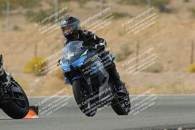 media/Nov-04-2023-2WTD (Sat) [[147bbb9217]]/C Group/1240pm (Outside Turn 2)/